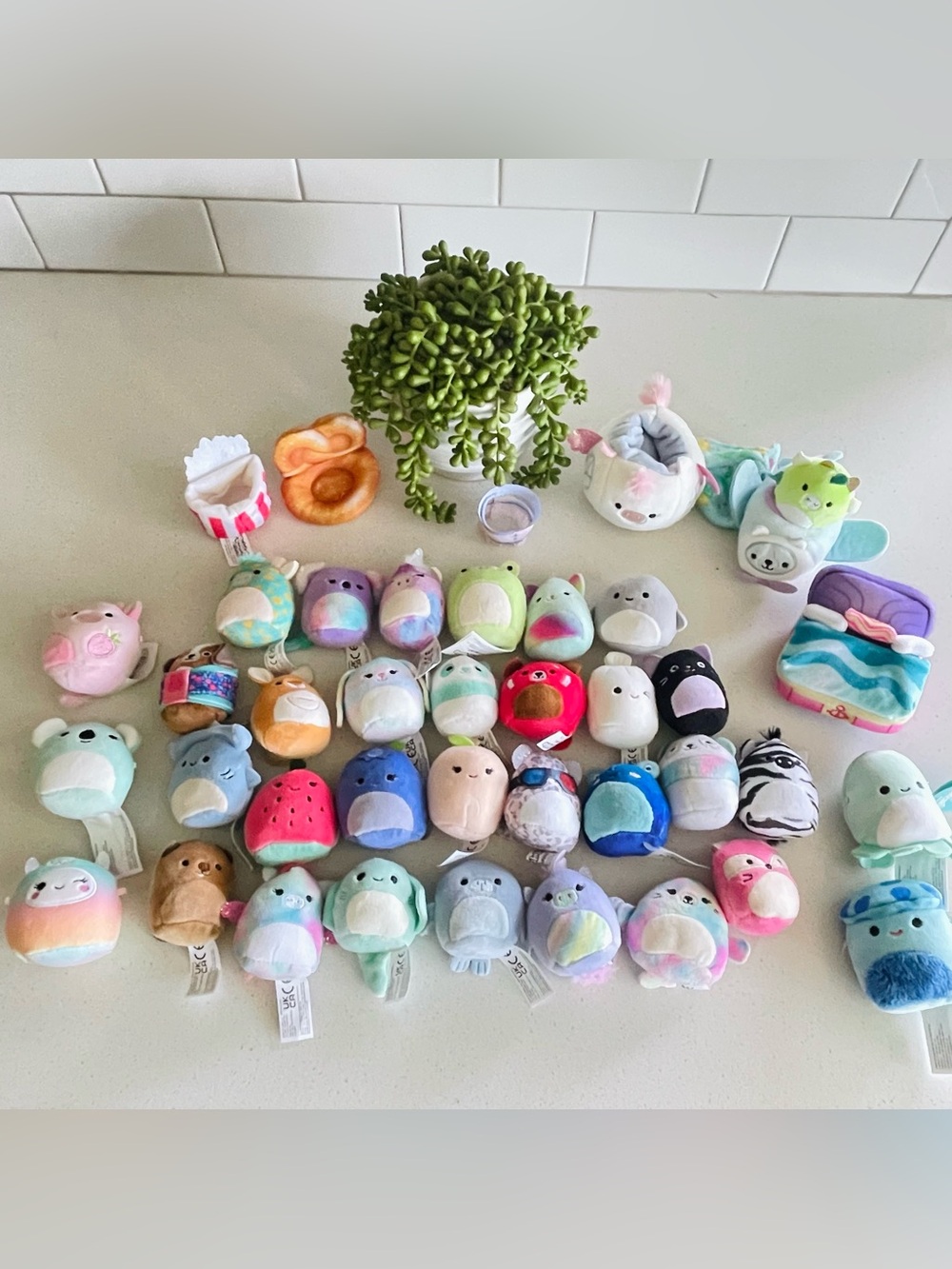 Squishmallows Squishville Lot